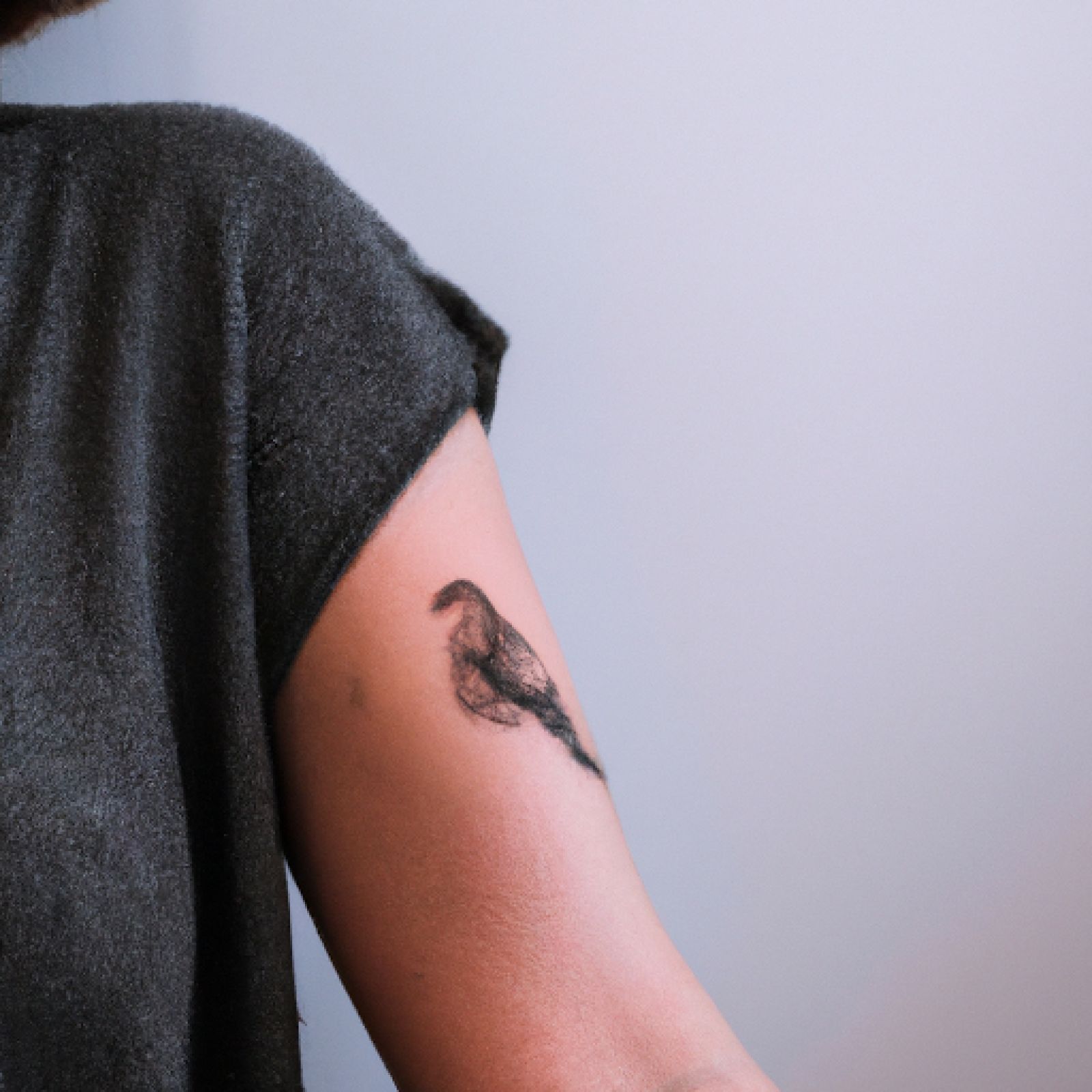 Bird tattoo on arm for women