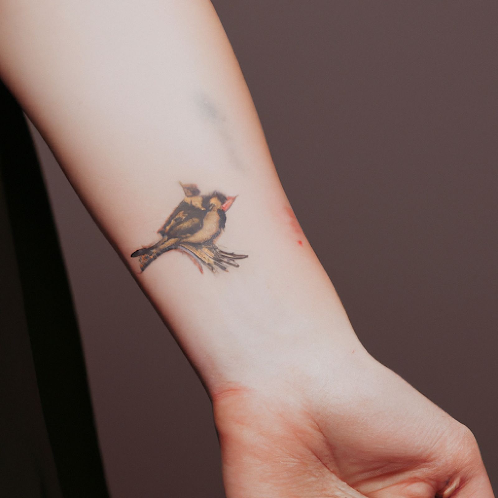 Bird tattoo on hand for women