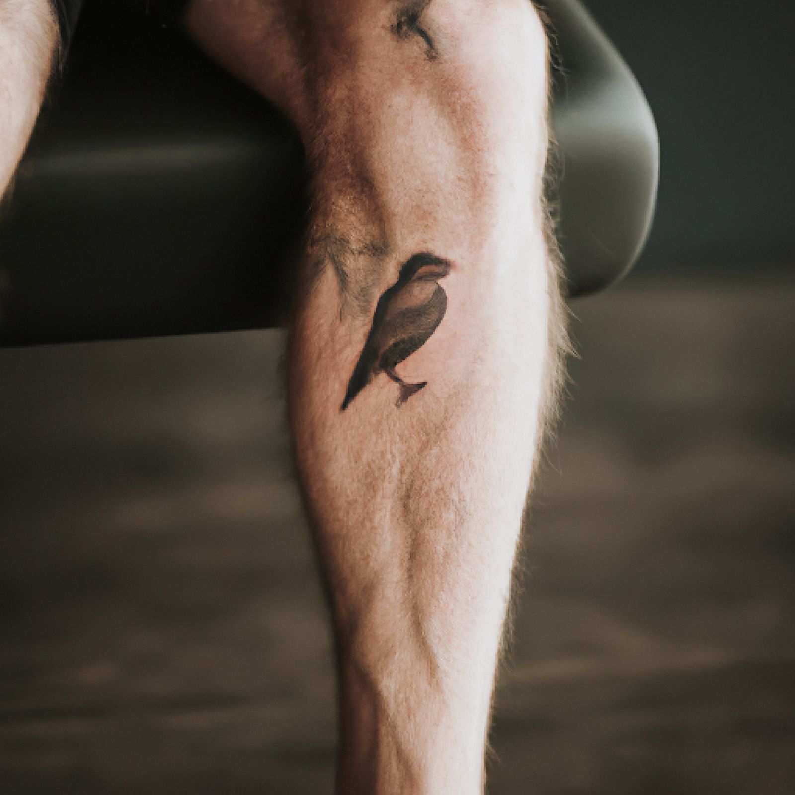 Bird tattoo on knee for men