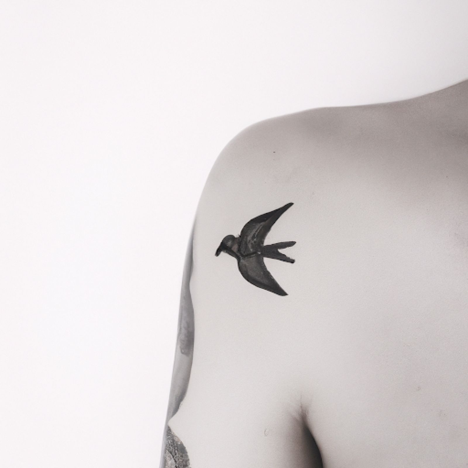 Bird tattoo on side for men