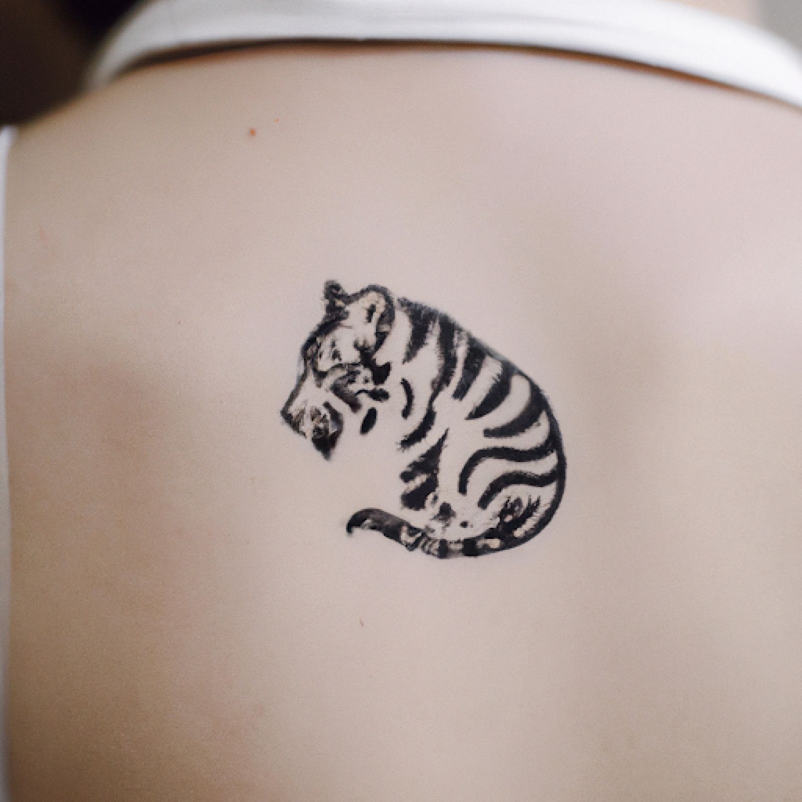 Tiger tattoo on sternum for women