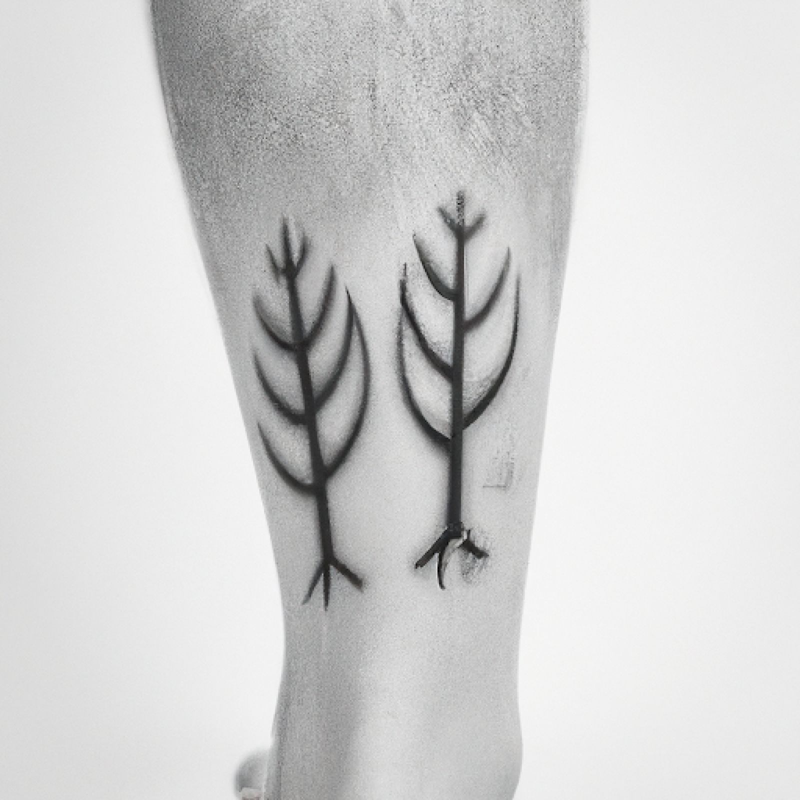Tree of life tattoo on leg for men